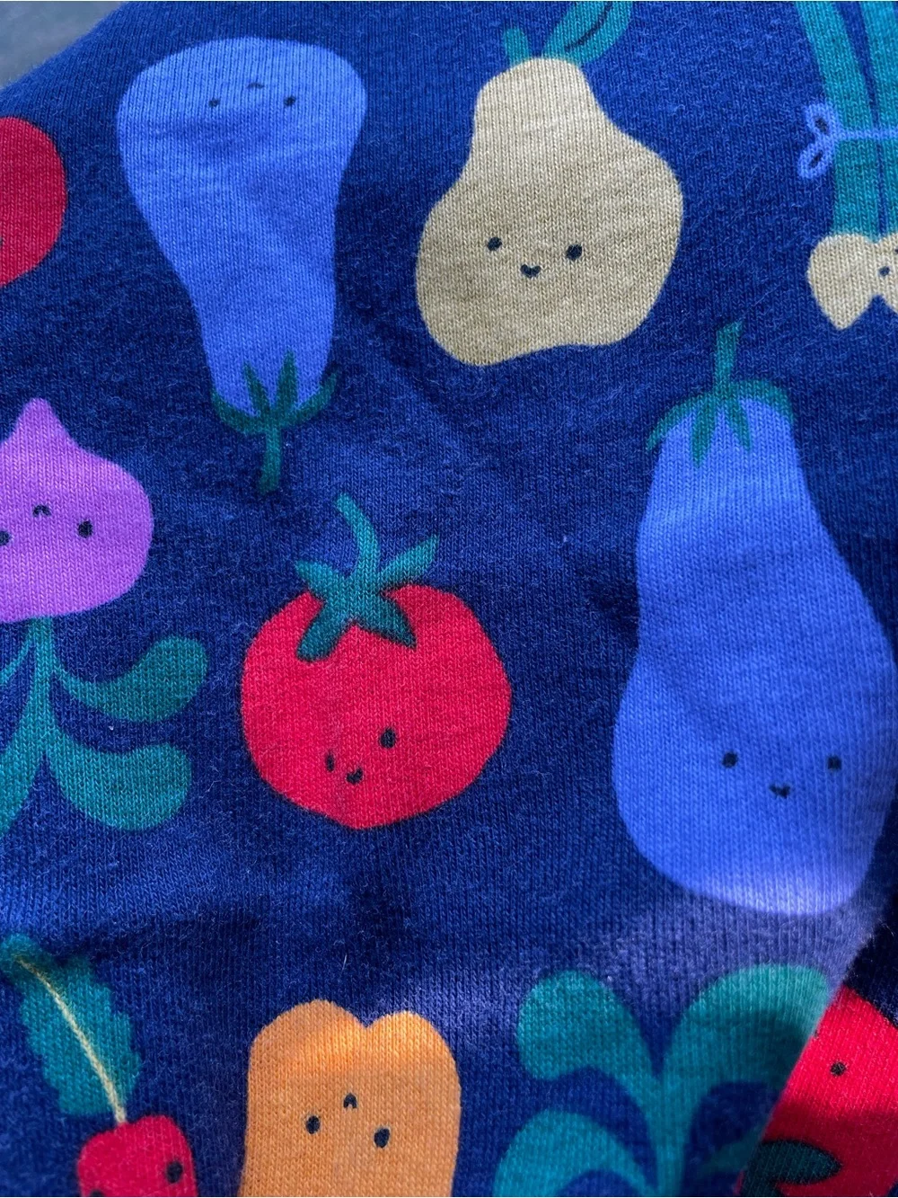Hanna Andersson HannaJams Pajama Set in “Happy Veggies”